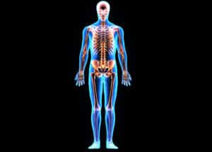 Human-Body